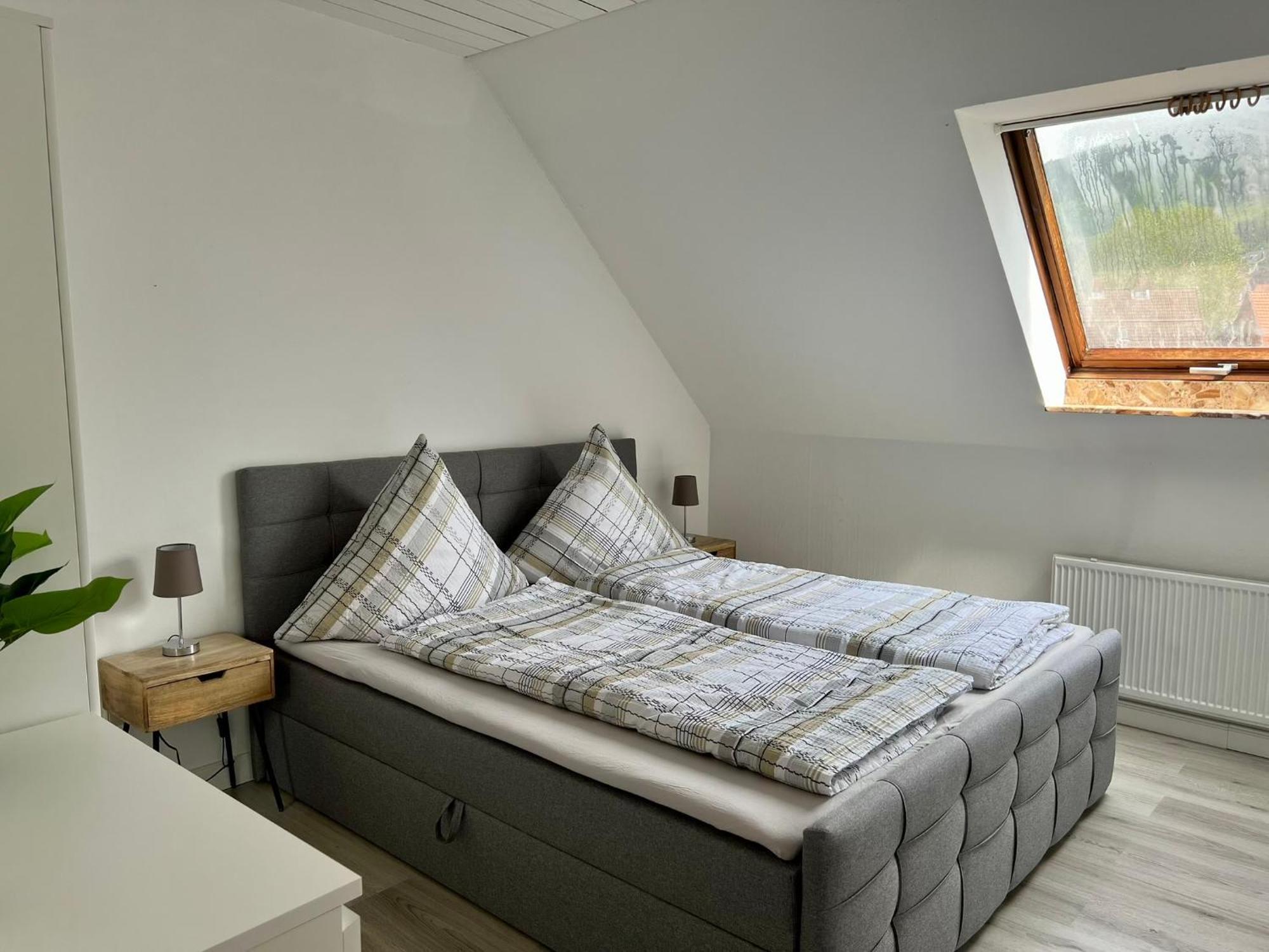 Apartment Harzperle - Lautenthal Лангельсхайм Экстерьер фото